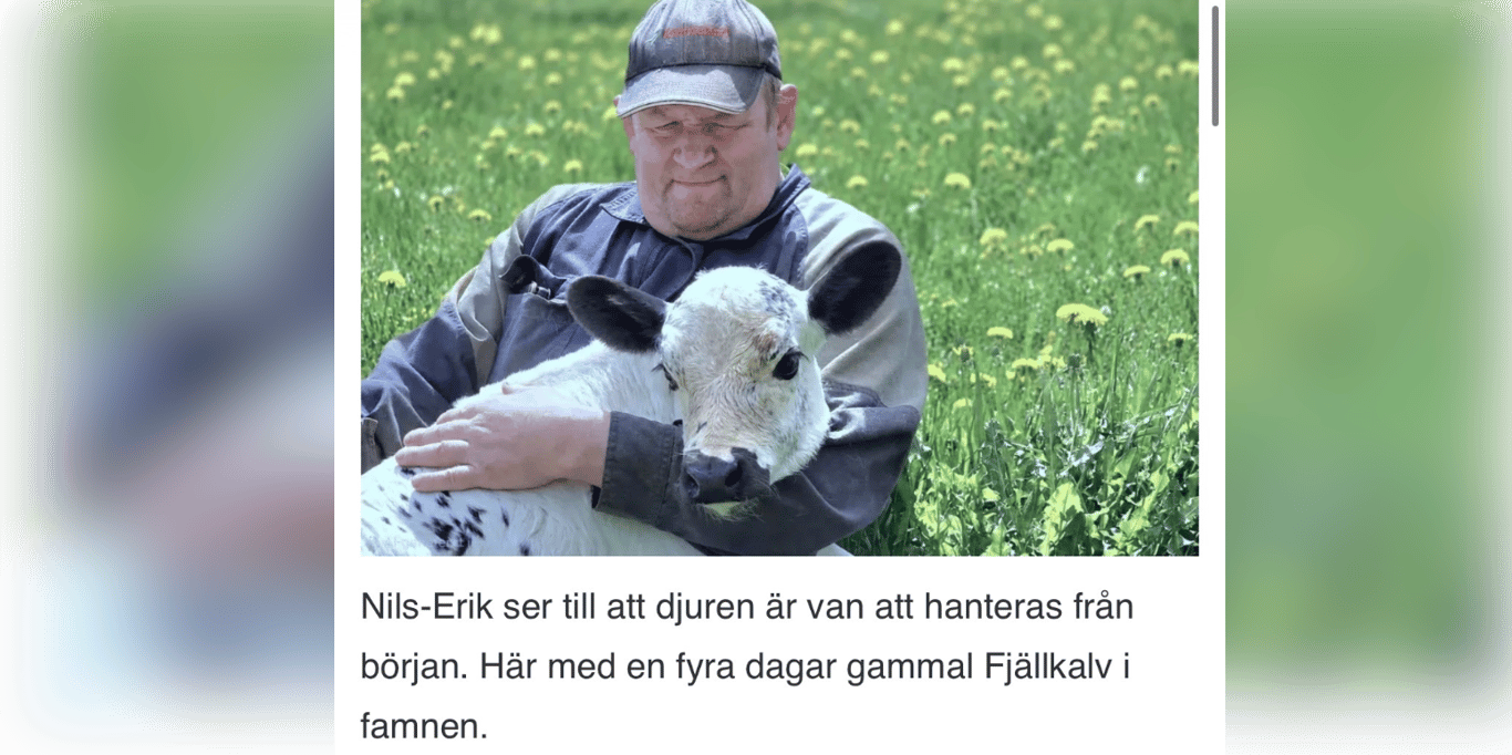 Hjälp Nisse och hans fjällkor i kampen mot Länsstyrelsens övergrepp