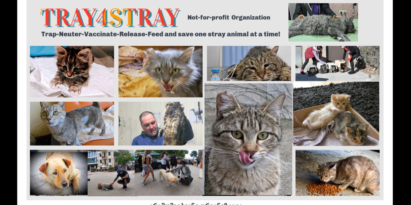 Tray4Stray Nonprofit Organization