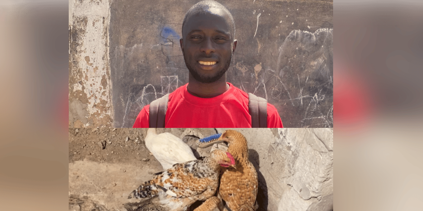 Help Musa Start a Fresh Poultry Farm in The Gambia