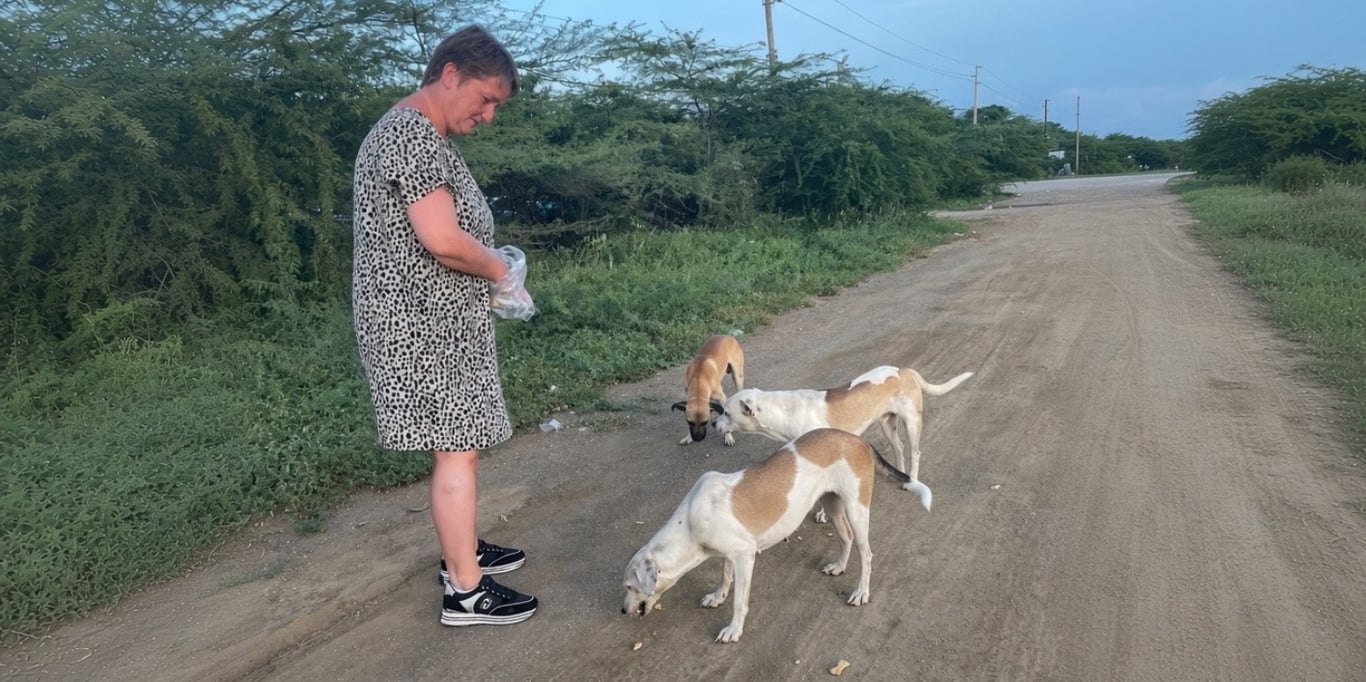 Pootjes met hoop, help de honden op Curaçao