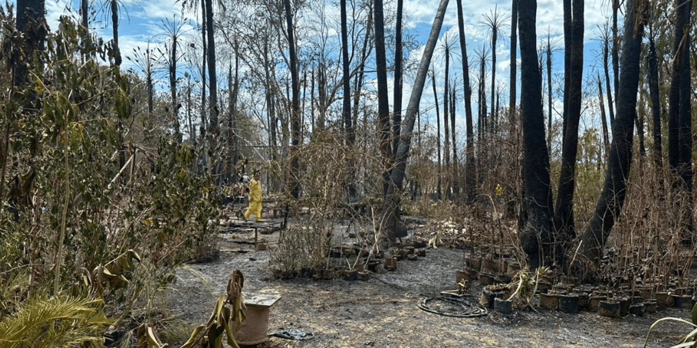 Buena Fortuna Gardens –&nbsp;Fire Recovery