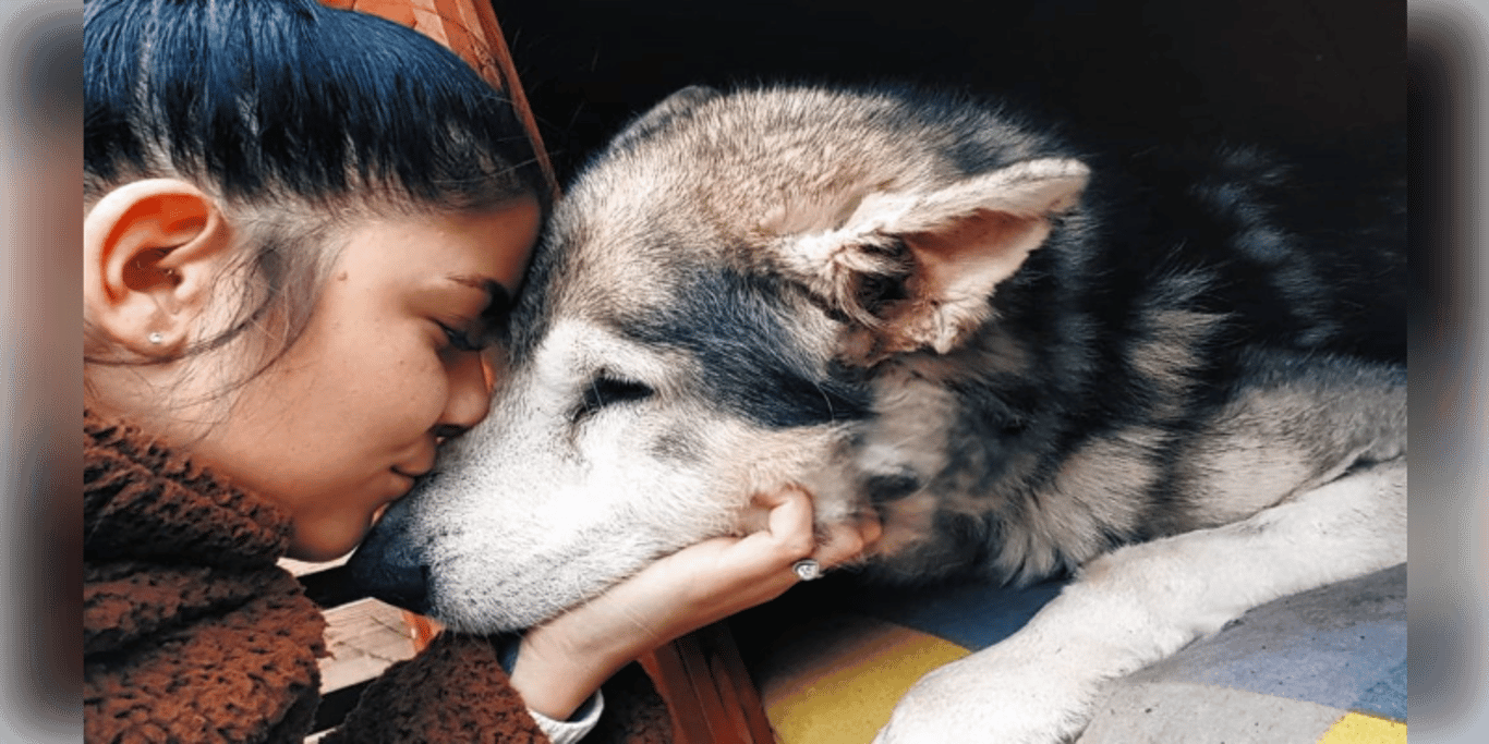 Bygger på hopp. 🐾 En chans för livet – Hjälp oss att skapa djurhemmet!