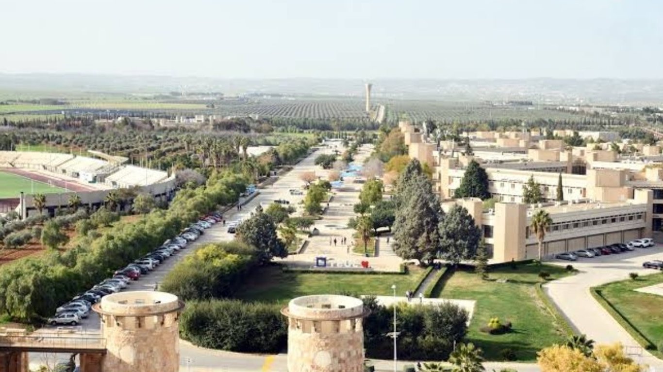 for my universty