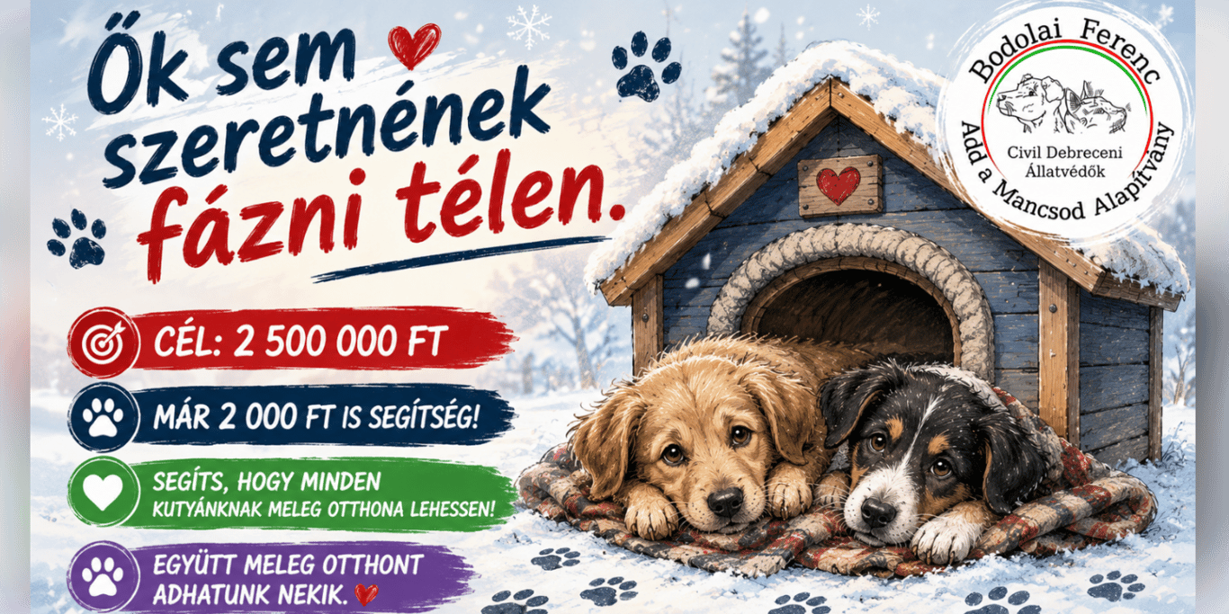 Meleg otthont minden menhelylakónak!