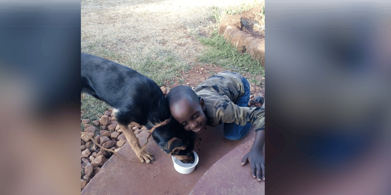 END THE CYCLE OF CRUELTY TO ANIMALS: ANIMAL WELFARE EDUCATION IN SCHOOLS