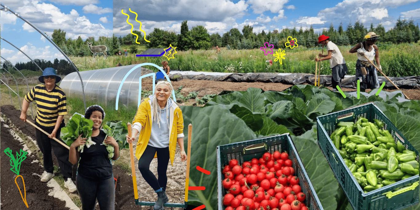 Aloti farm needs your support!