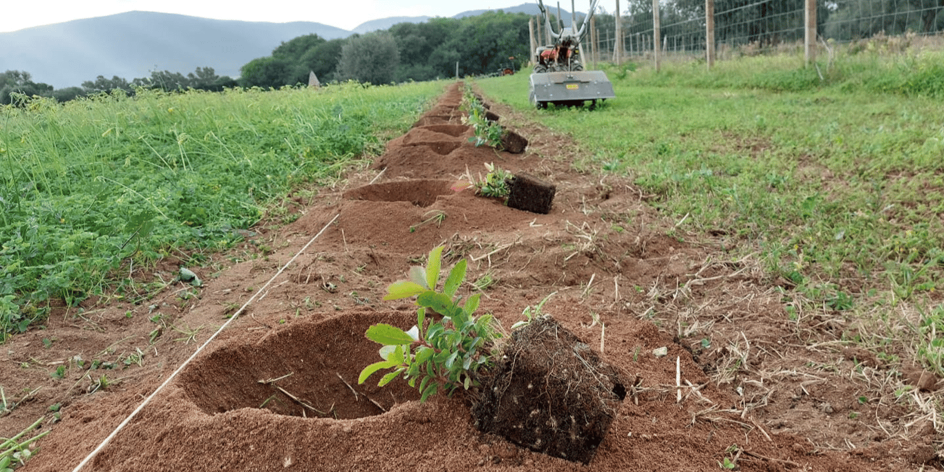 Un premio che diventa natura per il Bee Garden di Alghero