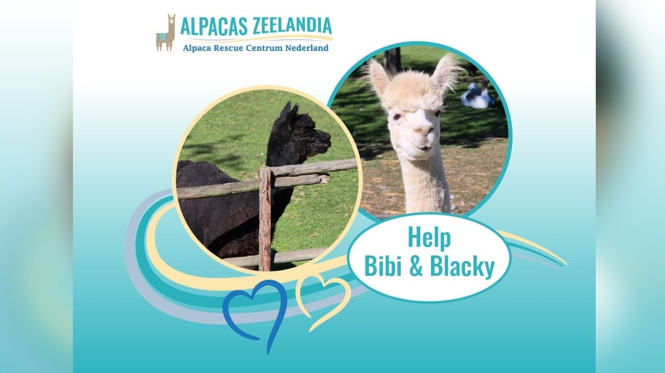 Help Bibi & Blacky aan een nieuwe toekomst