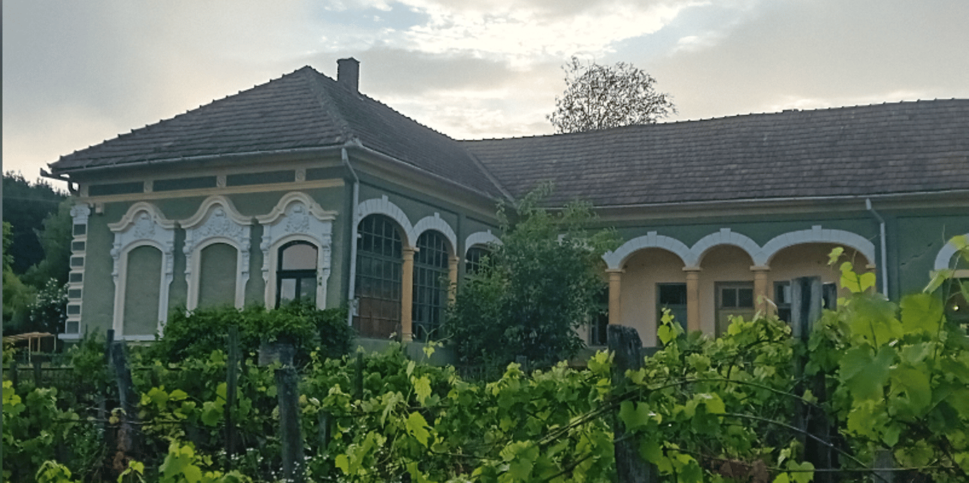 Saving a Hungarian Heritage