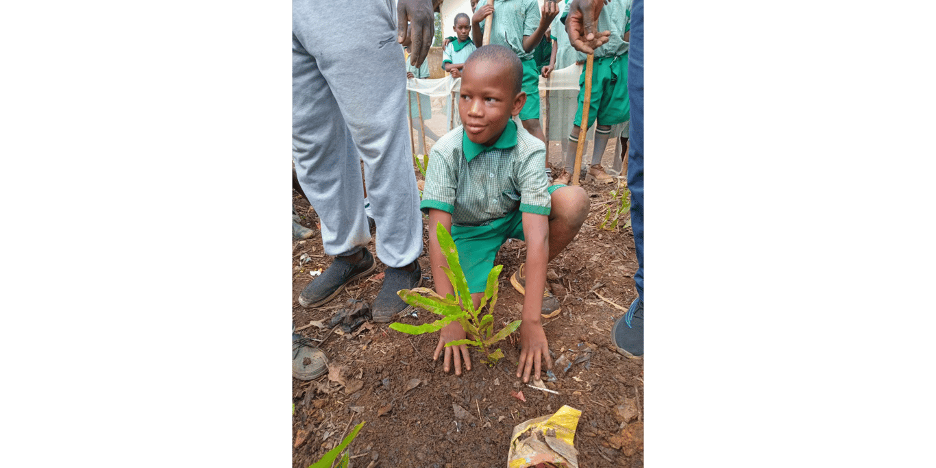 Plant bomen en meer bij kleinschalige groene projecten met The Tree Party