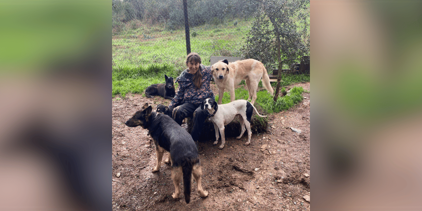Urgent Funding Needed for Terra Canis Dog Sanctuary, Tamera [Portugal]