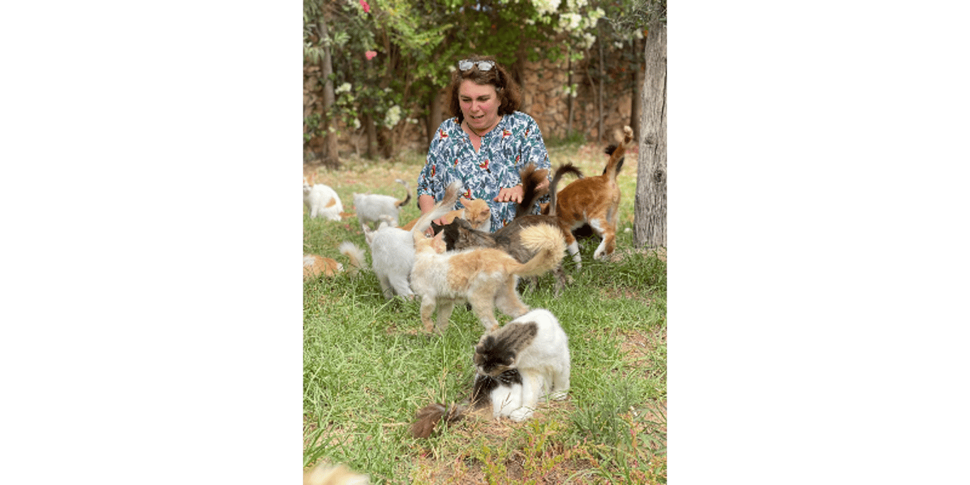 Sauver notre refuge de 370 chats et 10 chiens Essaouira Maroc