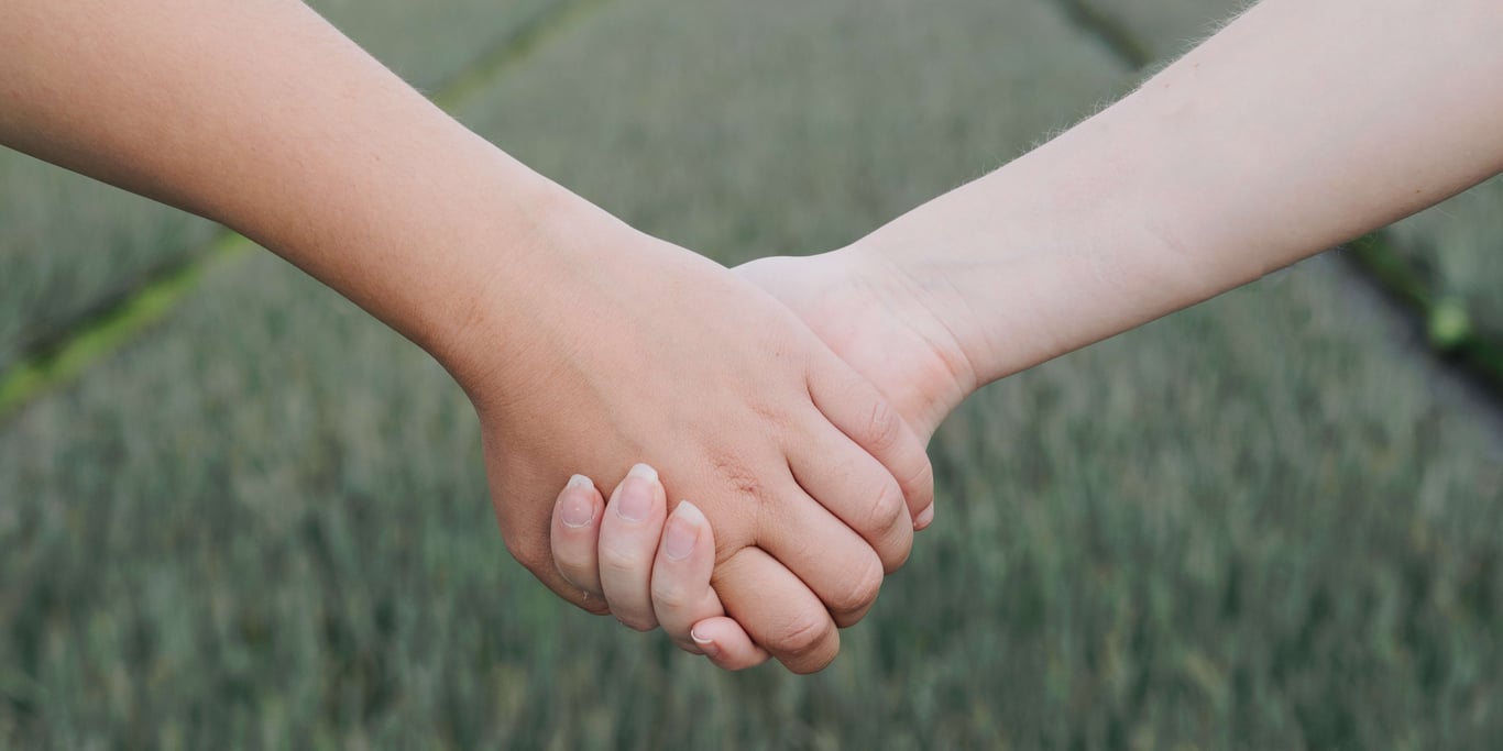 Vrienden van Plant a friend