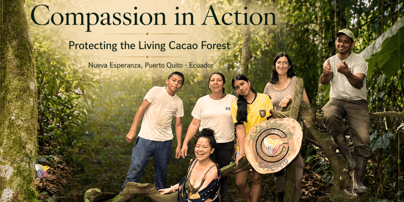 AYA Pacha Cacao ® | Compassion in Action Protecting the Living Cacao Forest