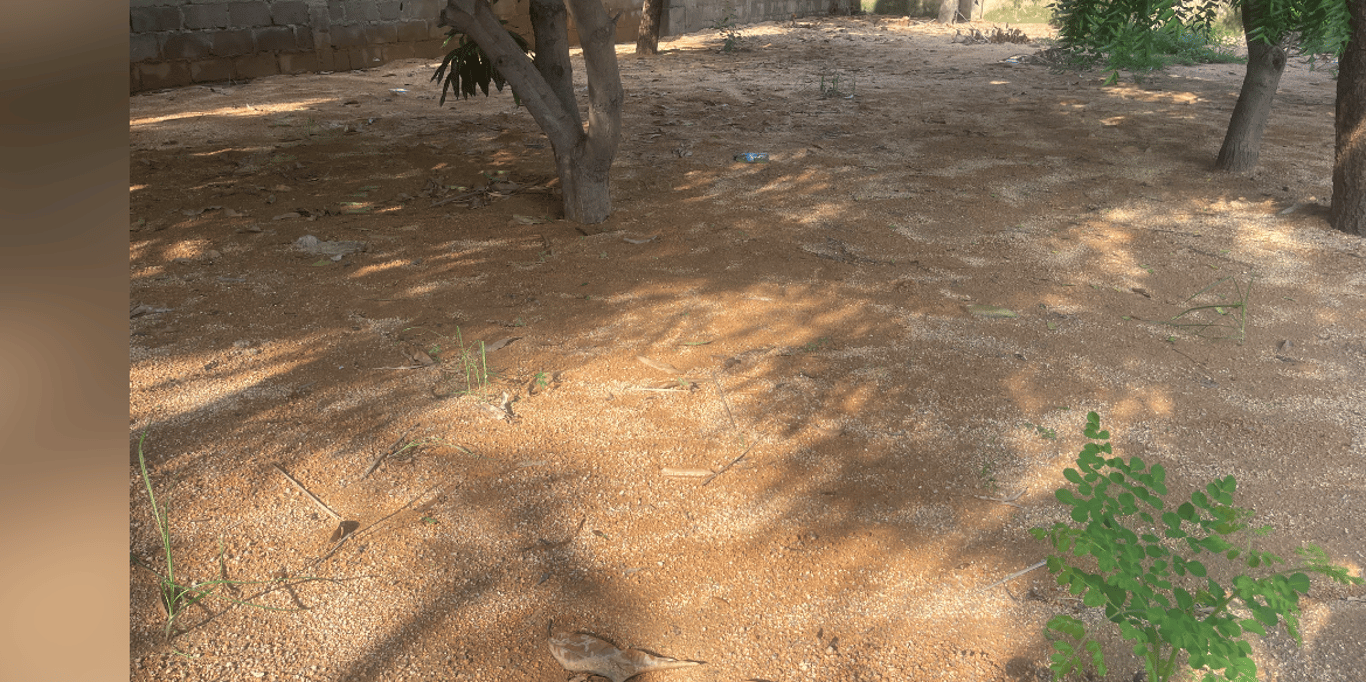 Water for our farm