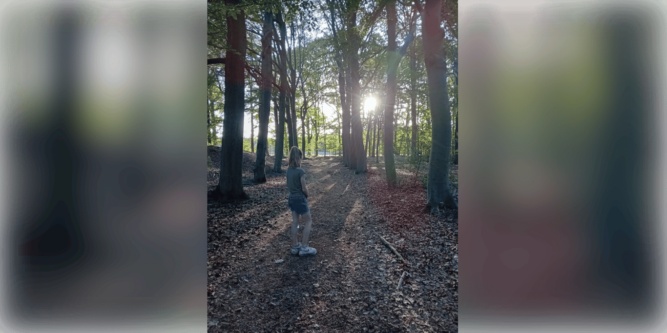 Help mij op weg naar een hulphond!