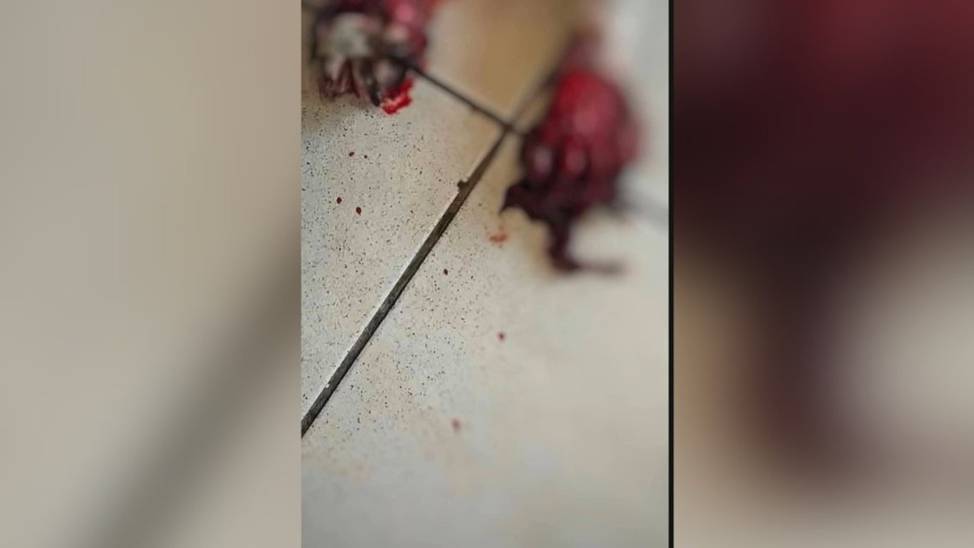 💔🐶 МОЛЯ ВИ, ПОМОГНЕТЕ МУ ДА ПРОХОДИ!