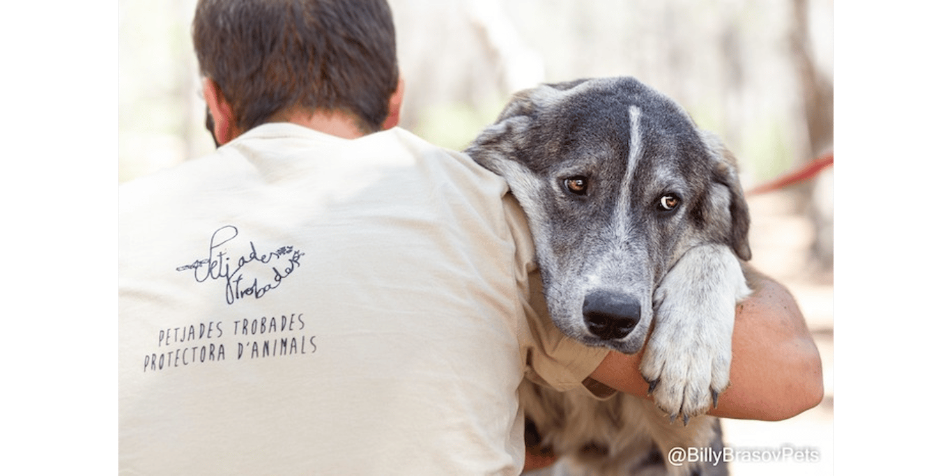 Reducir nuestra deuda veterinaria