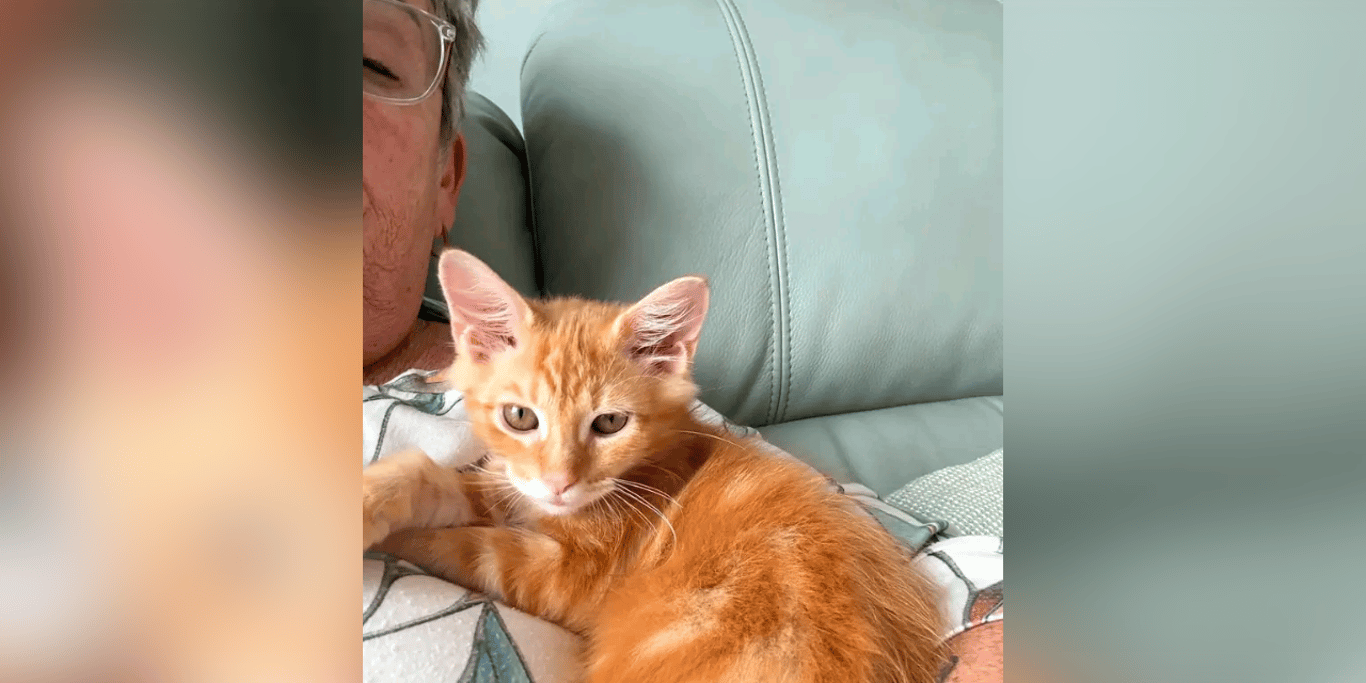 FOOD AND VET BILLS