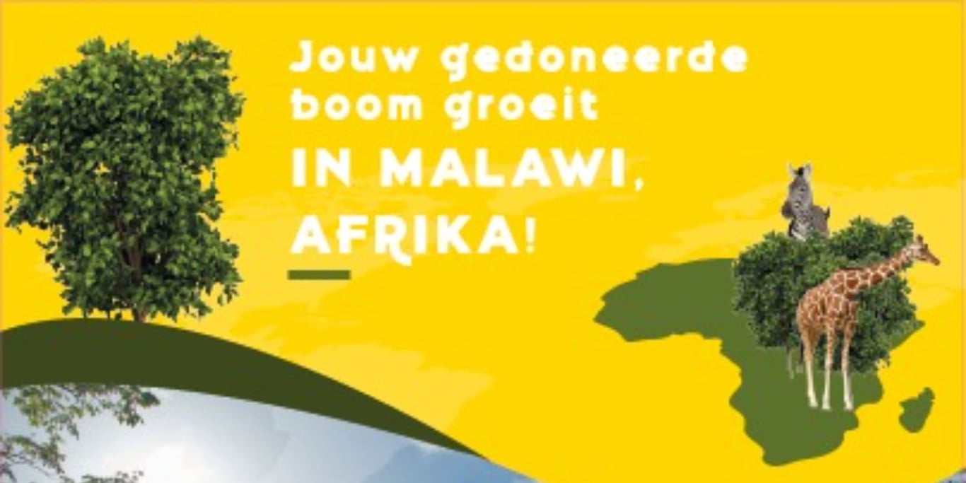 Let's empower women & regenerate our planet by planting trees @ Malawi