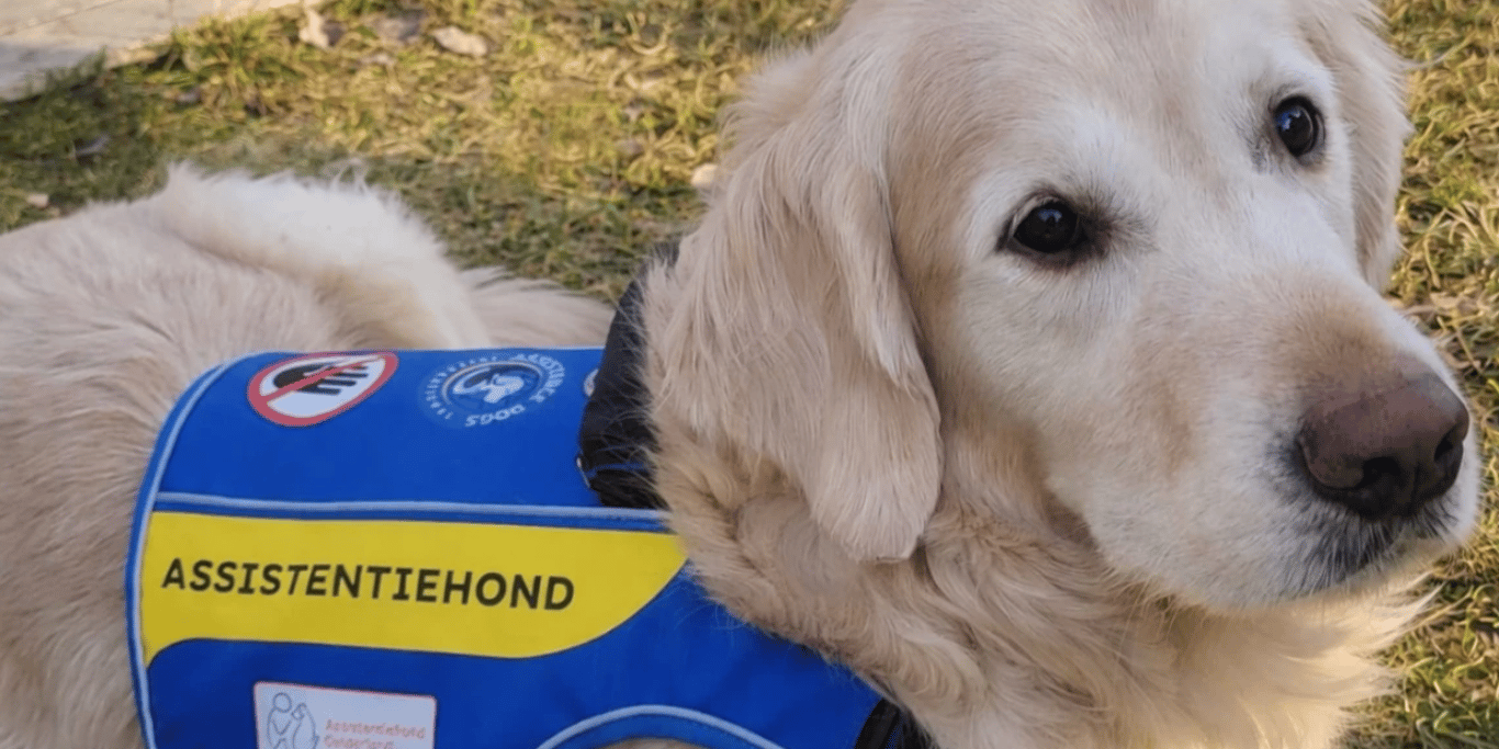 PTSS/DIS Hulphond voor Thirza. Help mij zelfstandig te leven!