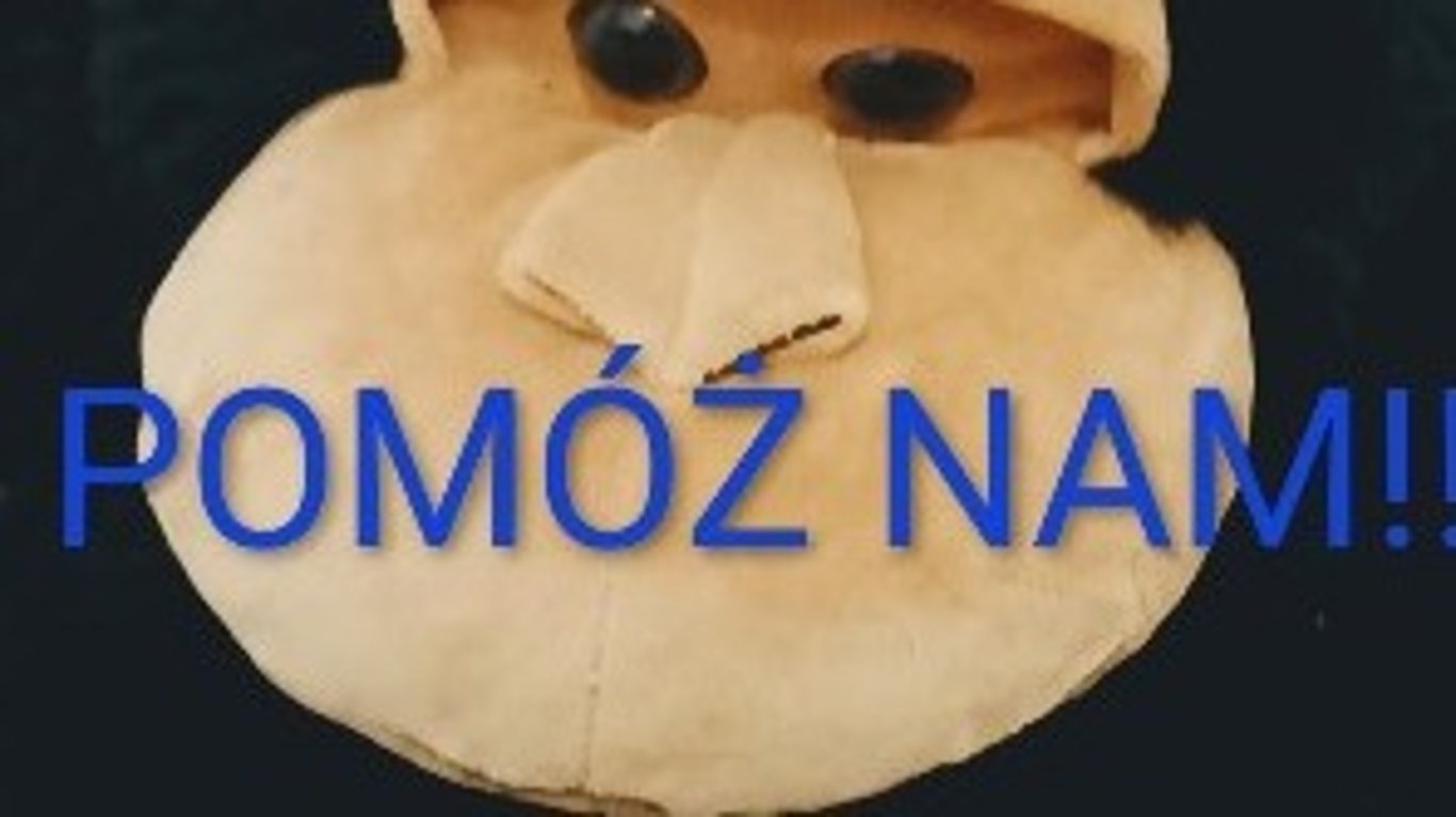 Pilna pomoc