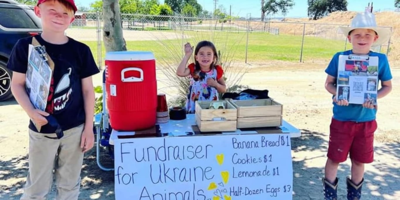 Ukrajina Humanitární a zvířecí pomoc
