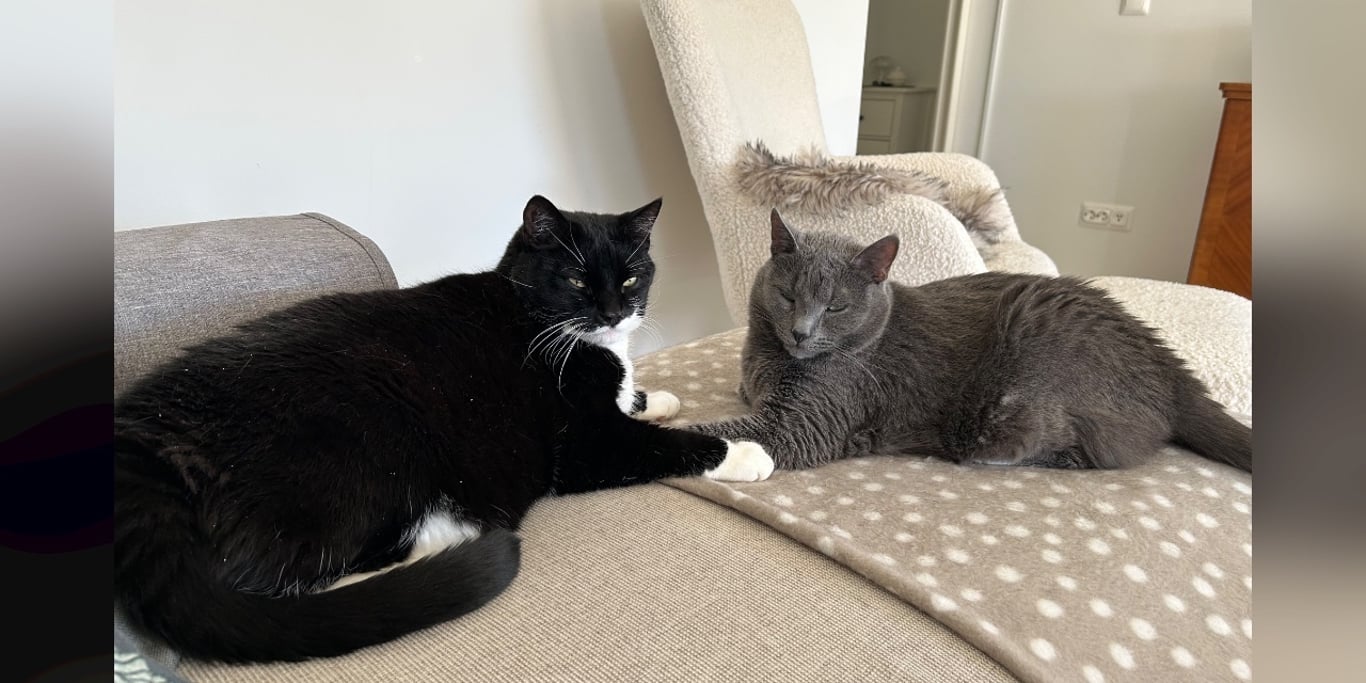 No lottorywin, so please can you help me keep my renting home!