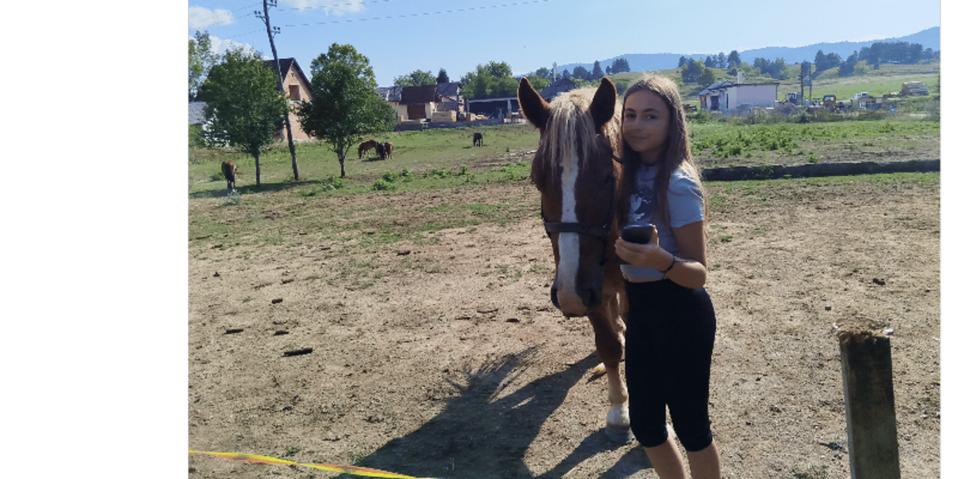 help for horseshello friends please help with food for these beauties