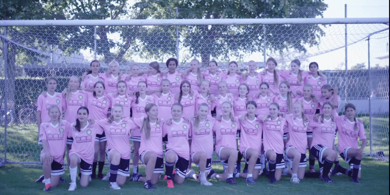 lilleklubstorthjerte U14/15 piger