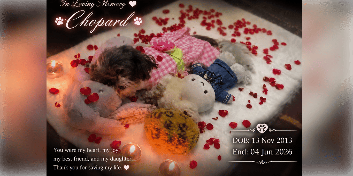 Helping Pets Fight Cancer by Chopard