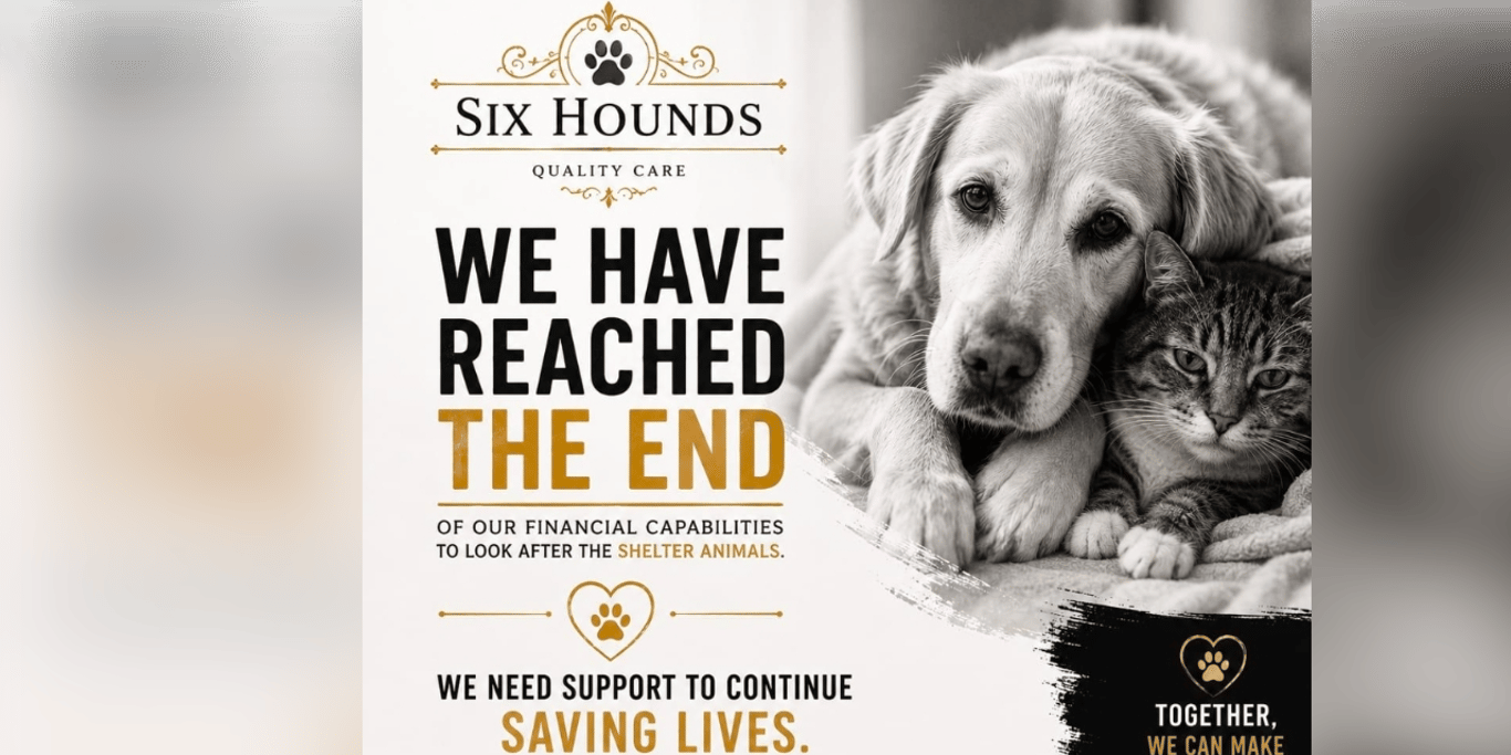 Urgent Help Needed for 6 Hounds Sanctuary