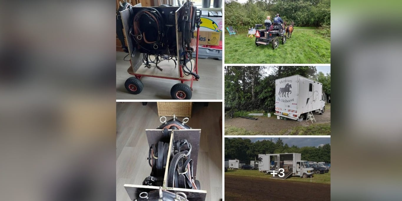 Menwagen tweespan, tuigage en paardenwagen