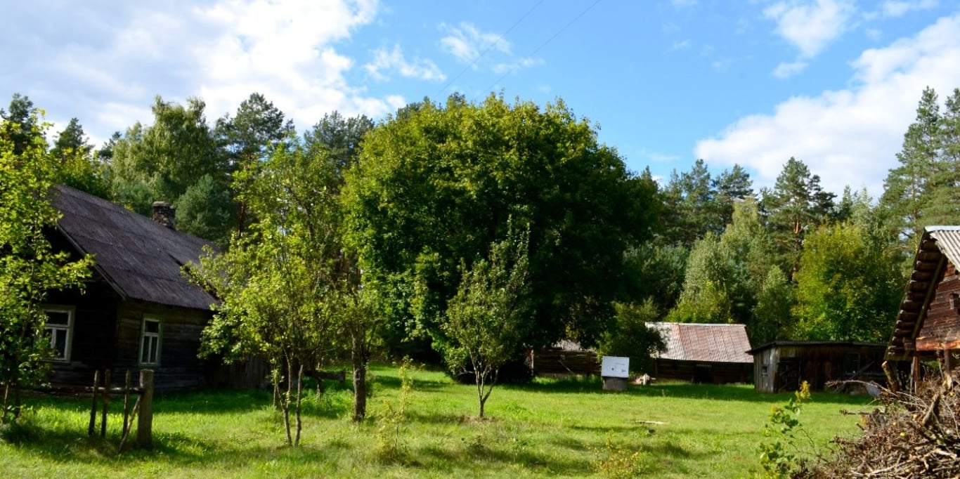 Help us restore the homestead of Professor Algis Uždavinys