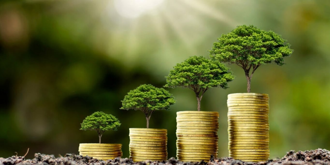 🌳 PLANT A TREE, GROW A FUTURE Help Us Make the World
