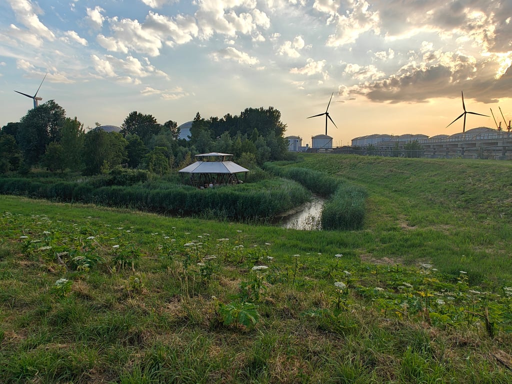 Temple of Self op Ruigoord