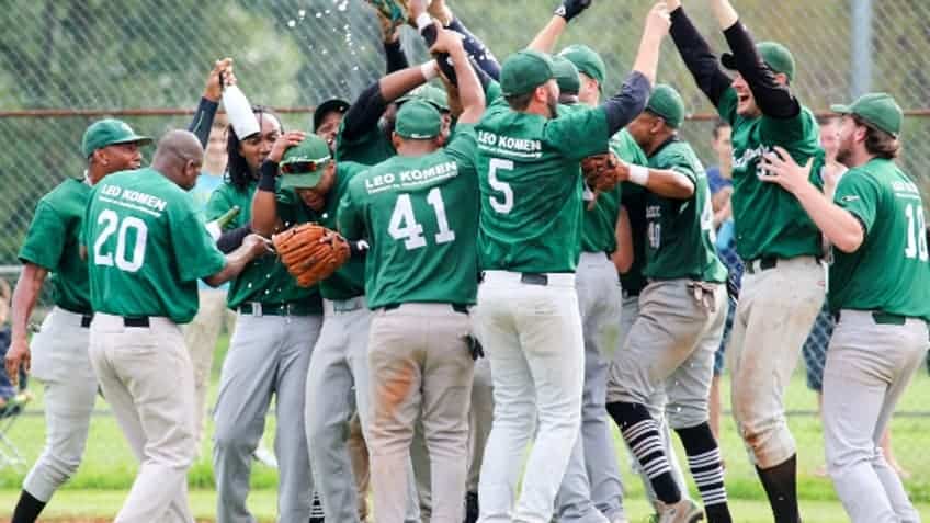 1 meter fence for 100 euros - Baseball Club