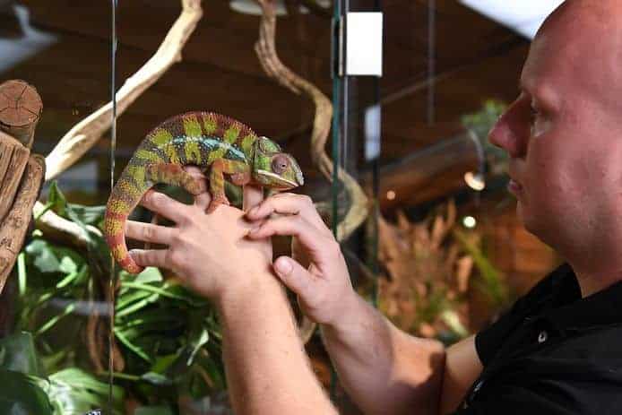 download 15 Podporte Reptile House the Earth