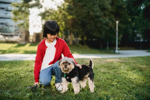 Collecte de fonds pour les refuges pour animaux - animaux et enfants