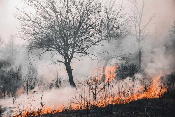 Inzamelingsactie voor natuurrampen