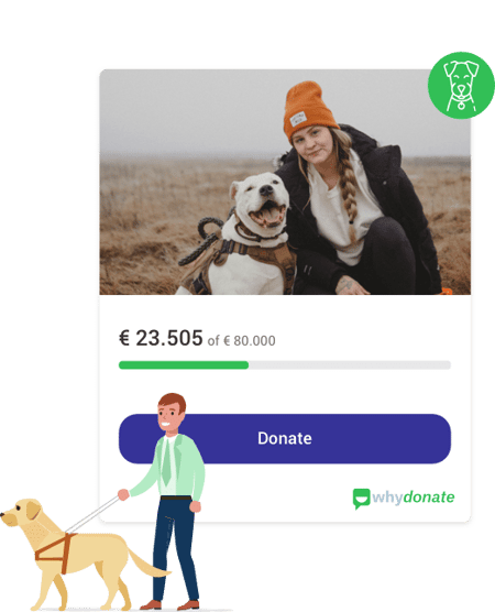 Wat is een hulphond? - WhyDonate