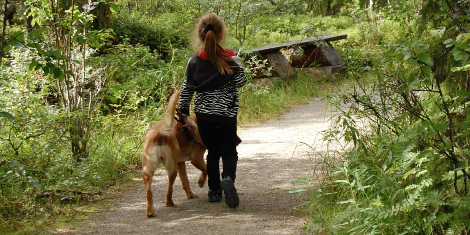 Pomozite našem udomljenom djetetu do sigurnog doma i budućnosti