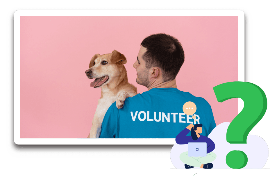 Animal Care WhyDonate Category Animal Rescue UK