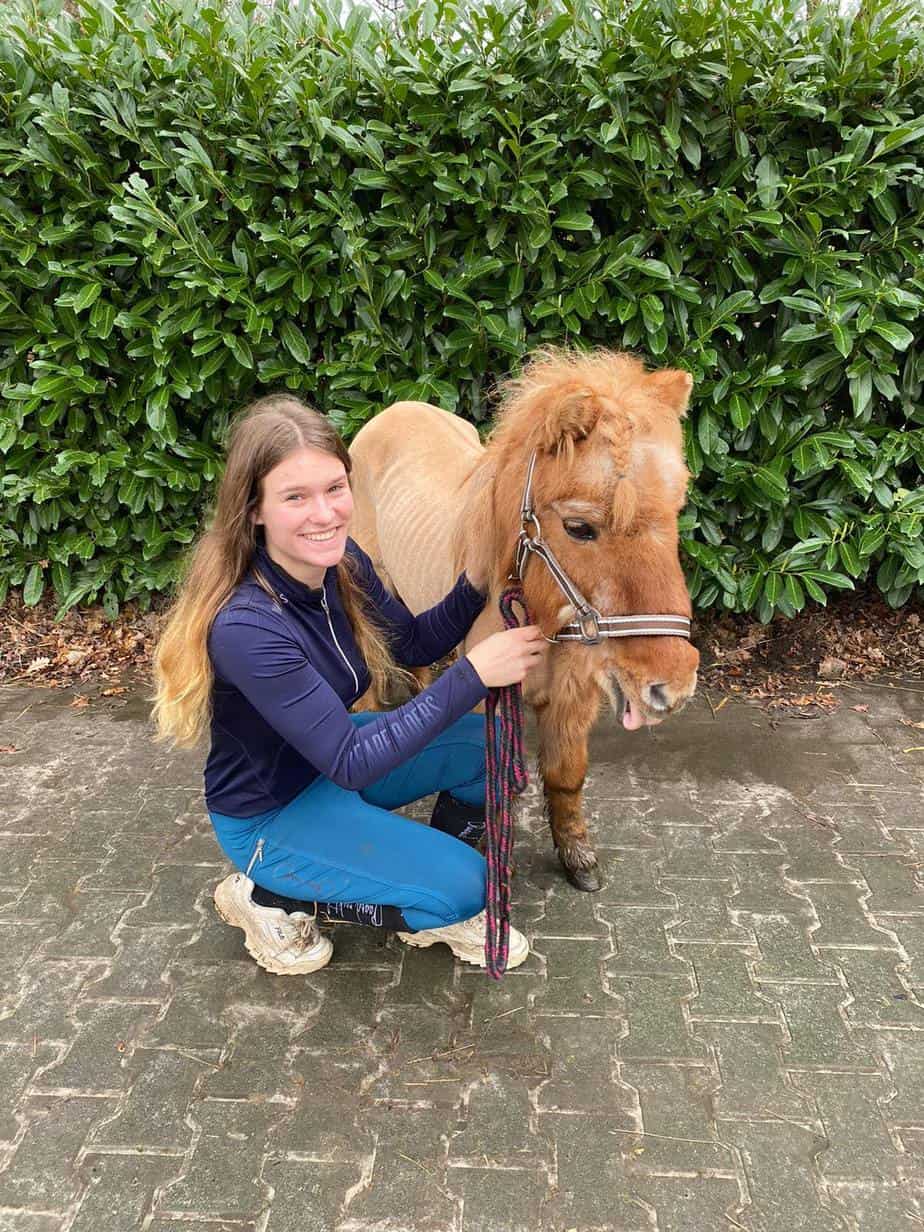 Cavalo procura patrão