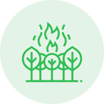 forest fires Fire Emergency UK