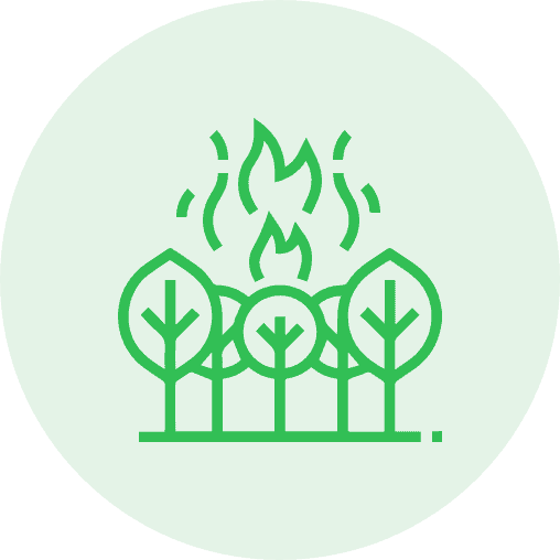 forest fires Category Fire Emergency PL