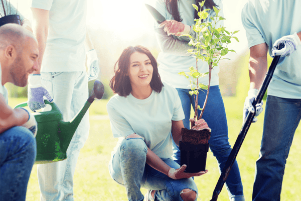 Community Fundraising-Ideen - Baumpflanzung