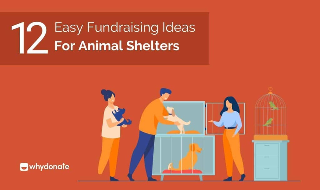 Fundraising Ideas For Animal Shelters