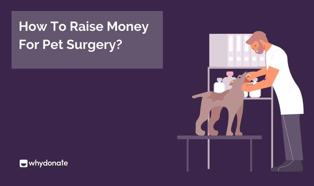 Pet Surgery
