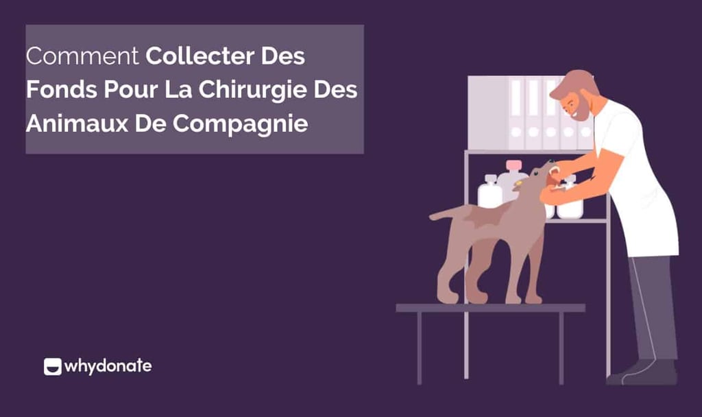 Chirurgie Animaux de Compagnie